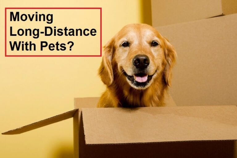 moving long distance with pets
